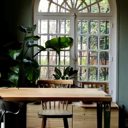 Atypical House 鲁昂