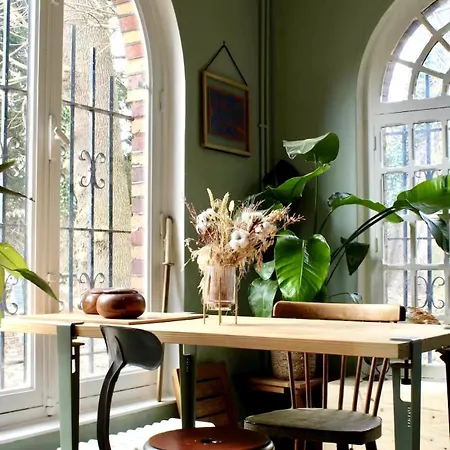 Atypical House 度假居