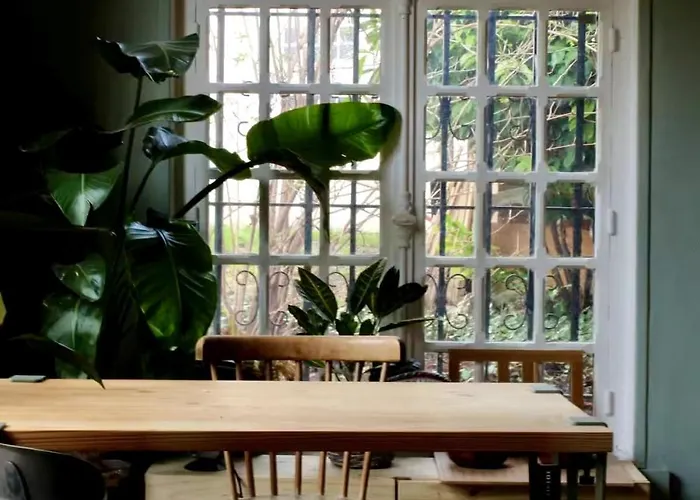 Atypical House 鲁昂