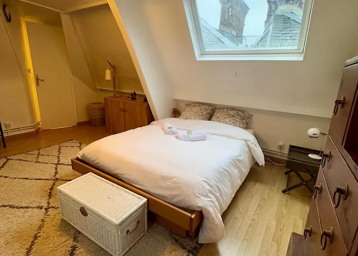 Atypical House 度假居